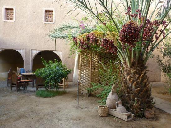Отель Kasbah Timidarte Zaouita Bou Lhassane Экстерьер фото